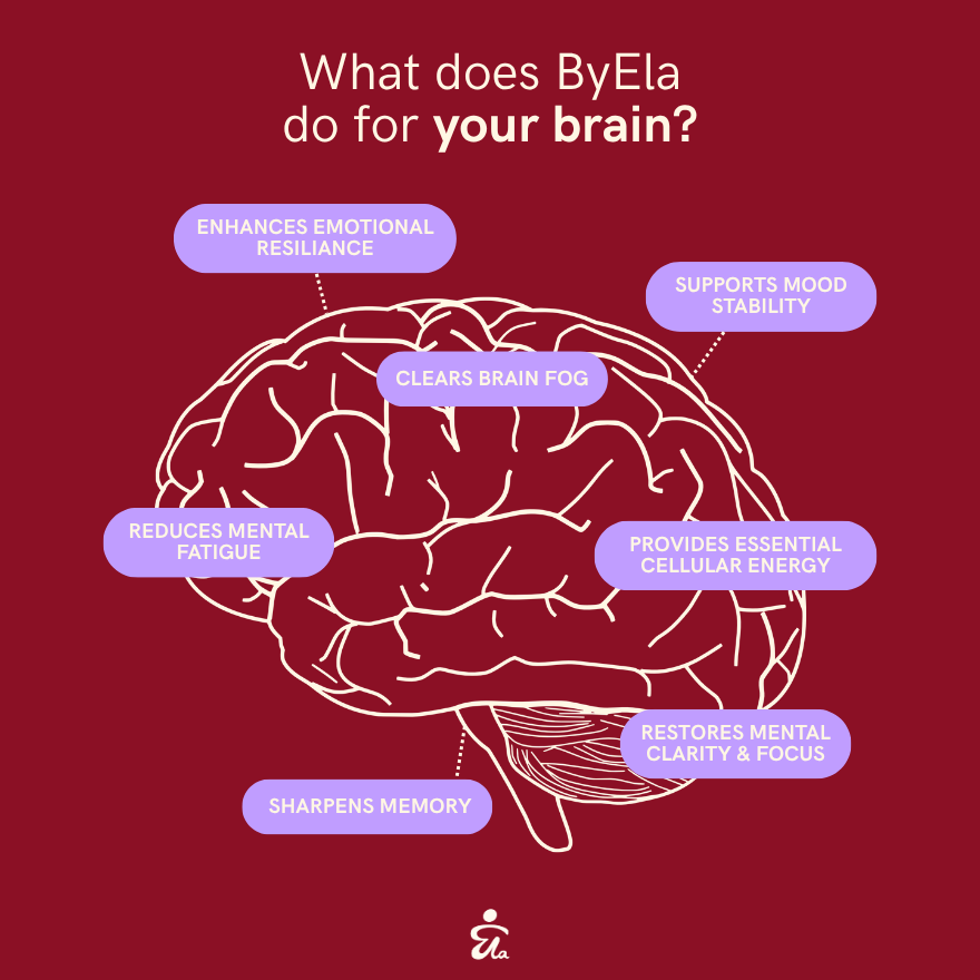 An infographic on a dark red background with a white line drawing of a human brain and purple callout labels describing benefits such as enhanced emotional resilience, clarity, focus, and mental stability. Text at the top reads, 'What does ByEla do for your brain?'.